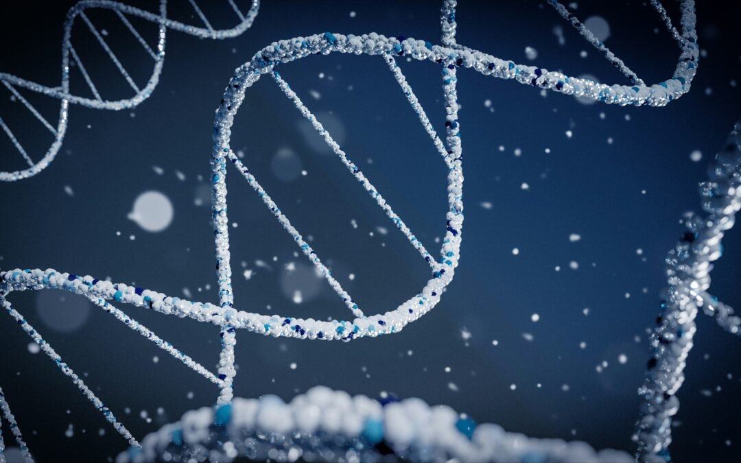Telomeres and Ageing: What the Science Actually Shows